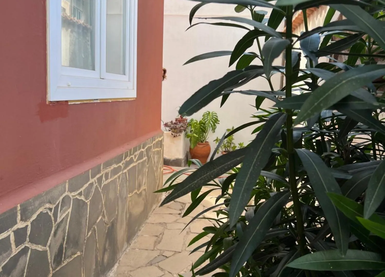 Atico Casa De Invitados Bluemoon Сан-Кристобаль-де-Ла-Лагуна 0*,  Испания